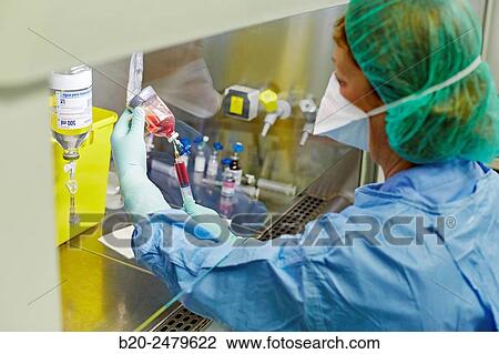 Preparation of drugs in laminar flow hood, epidural anesthesia, Clean room, Pharmacy, Hospital Donostia, San Sebastian, Gipuzkoa, Basque Country, Spain View Large Photo Image Stock Image - Preparation of drugs in laminar flow hood, epidural anesthesia, Clean room, Pharmacy, Hospital Donostia, San Sebastian, Gipuzkoa, Basque Country, Spain. Fotosearch