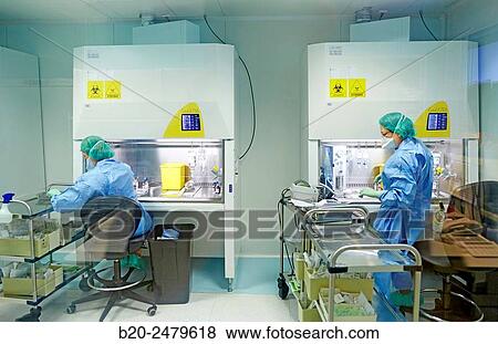 Preparation of drugs in laminar flow hood, epidural anesthesia, Clean room, Pharmacy, Hospital Donostia, San Sebastian, Gipuzkoa, Basque Country, Spain View Large Photo Image Stock Photo - Preparation of drugs in laminar flow hood, epidural anesthesia, Clean room, Pharmacy, Hospital Donostia, San Sebastian, Gipuzkoa, Basque Country, Spain. Fotosearch