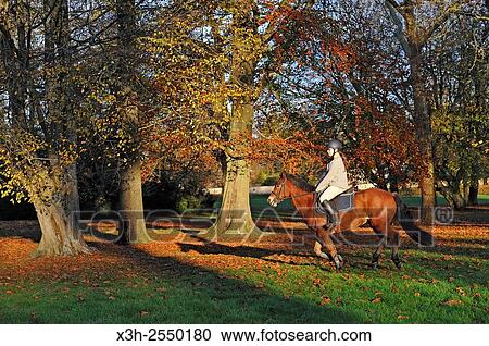rider in the Castle´s park of Rambouillet, Yvelines department, Ile-de-France region, France, Europe. View Large Photo Image Stock Image - rider in the Castle´s park of Rambouillet, Yvelines department, Ile-de-France region, France, Europe.. Fotosearch