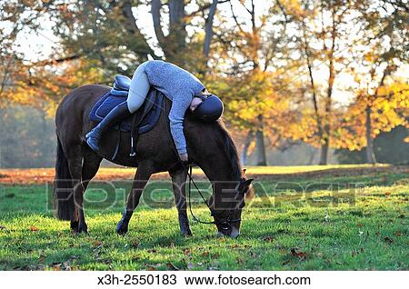 rider in the Castle´s park of Rambouillet, Yvelines department, Ile-de-France region, France, Europe. View Large Photo Image Stock Image - rider in the Castle´s park of Rambouillet, Yvelines department, Ile-de-France region, France, Europe.. Fotosearch