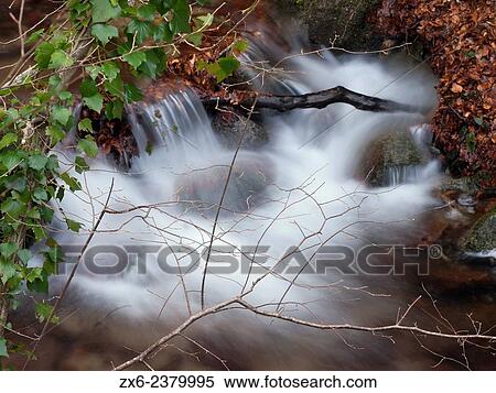 Riera de les Truites stream. Montseny Natural Park. Barcelona province, Catalonia, Spain. View Large Photo Image Stock Photography - Riera de les Truites stream. Montseny Natural Park. Barcelona province, Catalonia, Spain.. Fotosearch