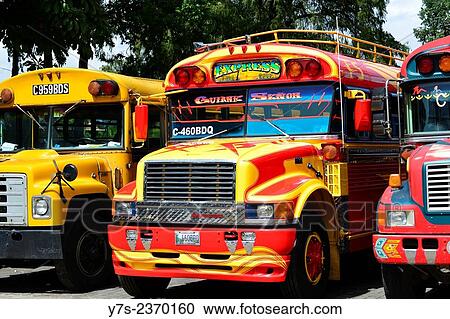 Row of brightly coloured busses, affectionally known as chicken busses stand in the parking lot in Antigua, Guatemala, Central America. View Large Photo Image Stock Image - Row of brightly coloured busses, affectionally known as chicken busses stand in the parking lot in Antigua, Guatemala, Central America.. Fotosearch