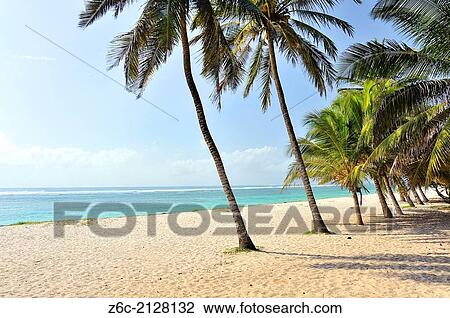 Sandy beach under Palms near Mombasa, Kenya. View Large Photo Image Stock Image - Sandy beach under Palms near Mombasa, Kenya.. Fotosearch