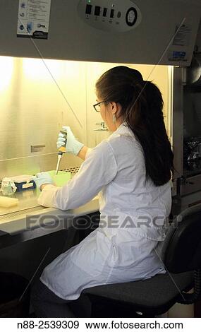 Stock Photo - Scientist hands in a safety cabin working with dangerous virus. Fotosearch
