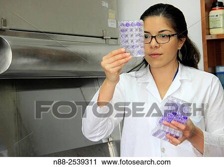 Scientist looking at virus infected cell plates View Large Photo Image Stock Image - Scientist looking at virus infected cell plates. Fotosearch