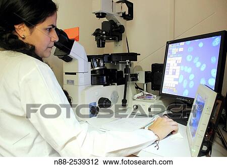 Scientist looking cells at flourescent microscope View Large Photo Image Stock Image - Scientist looking cells at flourescent microscope. Fotosearch