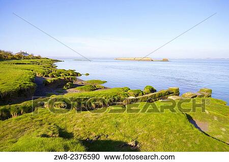 Shore line. Port Carlisle, Solway Coast, Cumbria, England, UK. View Large Photo Image Stock Image - Shore line. Port Carlisle, Solway Coast, Cumbria, England, UK.. Fotosearch