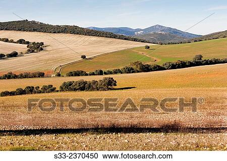 Sierra de la Calderina. Montes de Toledo. Urda. Toledo. Castilla la Mancha. Spain. Europe. View Large Photo Image Stock Image - Sierra de la Calderina. Montes de Toledo. Urda. Toledo. Castilla la Mancha. Spain. Europe.. Fotosearch