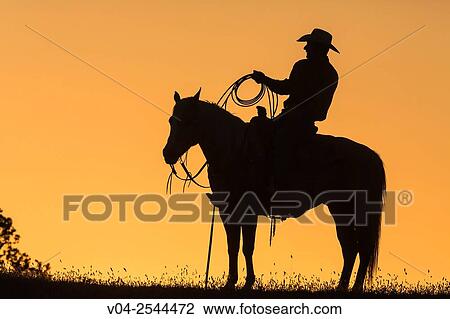 Single wrangler cowboy on horse at sunset, California, USA View Large Photo Image Stock Image - Single wrangler cowboy on horse at sunset, California, USA. Fotosearch