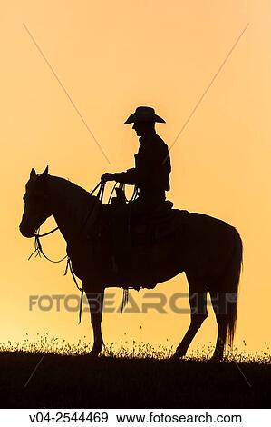 Single wrangler (cowboy) on horse at sunset, California, USA View Large Photo Image Stock Photo - Single wrangler (cowboy) on horse at sunset, California, USA. Fotosearch