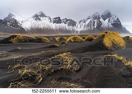 Stokksnes pen? nsula, Hofn, Southern Iceland, Iceland. View Large Photo Image Stock Image - Stokksnes pen? nsula, Hofn, Southern Iceland, Iceland.. Fotosearch