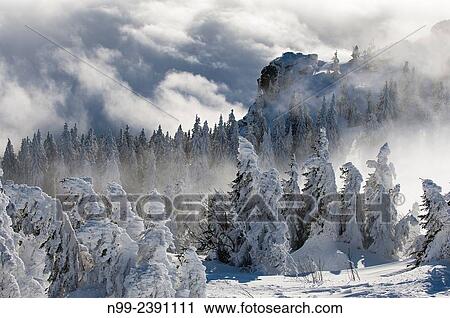 Summit of Great Arber, highest summit of the Bayerischer Wald, snow-packed spruces and rocks, clouds and fog, Bavaria, Germany. View Large Photo Image Stock Image - Summit of Great Arber, highest summit of the Bayerischer Wald, snow-packed spruces and rocks, clouds and fog, Bavaria, Germany.. Fotosearch