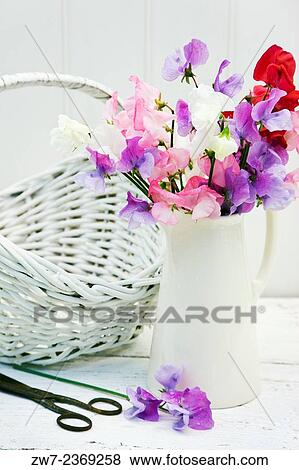 Sweet Peas in a ceramic jug with basket. View Large Photo Image Stock Photo - Sweet Peas in a ceramic jug with basket.. Fotosearch