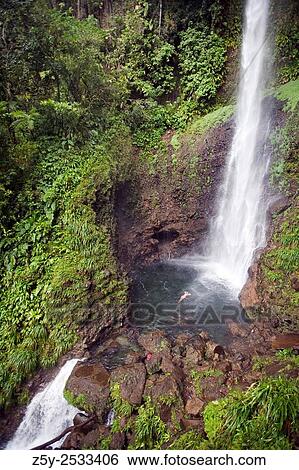 Stock Photograph - Swimming at the base of Middleham Falls, Dominica, Eastern Caribbean, West Indies. The falls are 100 feet.. Fotosearch