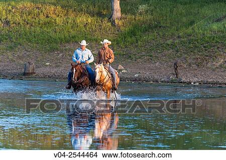Two wranglers (cowboys) on horses, riding through water, California, USA View Large Photo Image Picture - Two wranglers (cowboys) on horses, riding through water, California, USA. Fotosearch