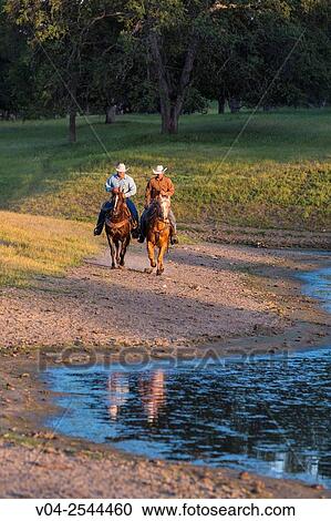 Stock Image - Two wranglers cowboys on horses, riding near a pond, California, USA. Fotosearch