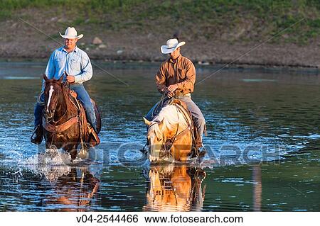 Two wranglers (cowboys) on horses, riding through water, California, USA View Large Photo Image Stock Photograph - Two wranglers (cowboys) on horses, riding through water, California, USA. Fotosearch