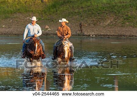 Two wranglers (cowboys) on horses, riding through water, California, USA View Large Photo Image Stock Photography - Two wranglers (cowboys) on horses, riding through water, California, USA. Fotosearch