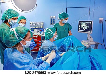 Stock Image - URA, ARU, Assisted Reproduction Unit, In Vitro Fertilisation, Intra Cytoplasmic Sperm Injection, Hospital Donostia, San Sebastian, Gipuzkoa, Basque Country, Spain. Fotosearch