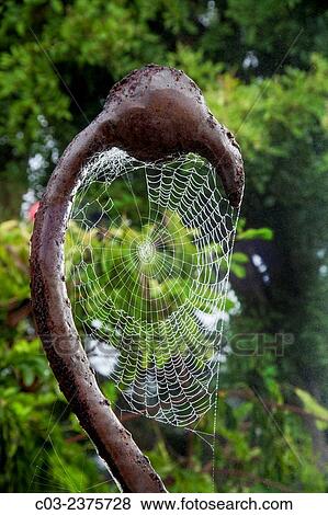 Wet with morning dew, a spiderweb is formed on a decorative metal flamingo in a California garden. View Large Photo Image Stock Photo - Wet with morning dew, a spiderweb is formed on a decorative metal flamingo in a California garden.. Fotosearch