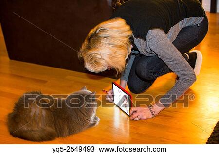 woman showing tablet computer to cat, Canada, Ontario. View Large Photo Image Stock Image - woman showing tablet computer to cat, Canada, Ontario.. Fotosearch