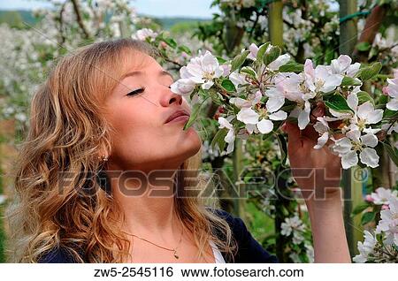 Stock Photograph - Young blond woman smelling a apple flowers in Kivik, Sweden.. Fotosearch