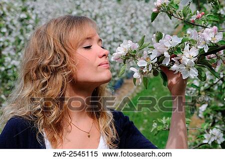 Stock Photography - Young blond woman smelling a apple flowers in Kivik, Sweden.. Fotosearch