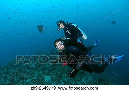 Young couple looking at the coral divers, Indian Ocean, Maldives. View Large Photo Image Stock Photo - Young couple looking at the coral divers, Indian Ocean, Maldives.. Fotosearch