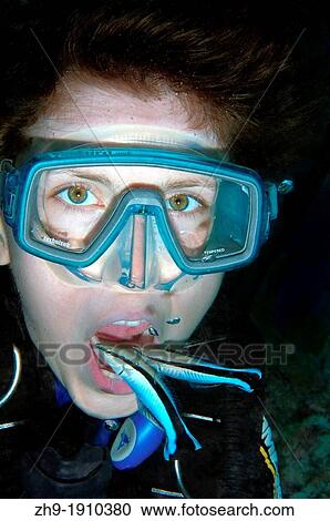 Young diver having mouth cleaned by cleanerfish, Sabre-toothed blenny Aspidontus taeniatus, Red Sea, Egypt, Africa View Large Photo Image Stock Image - Young diver having mouth cleaned by cleanerfish, Sabre-toothed blenny Aspidontus taeniatus, Red Sea, Egypt, Africa. Fotosearch
