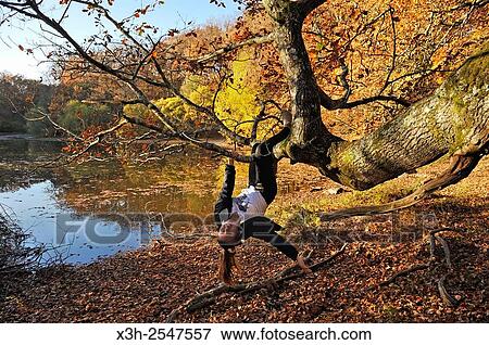young girl making acrobatics in a tree on the banks of the ´´Petit Etang Neuf´´ Small New Pond, Forest of Rambouillet, Yvelines department, Ile-de-France region, France, Europe. View Large Photo Image Stock Photo - young girl making acrobatics in a tree on the banks of the ´´Petit Etang Neuf´´ Small New Pond, Forest of Rambouillet, Yvelines department, Ile-de-France region, France, Europe.. Fotosearch