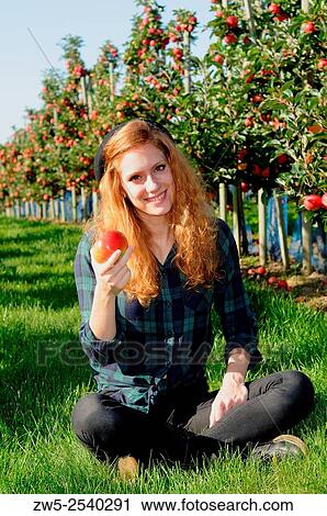 Young redhaired woman holding a red apple and sit in an apple plantation in Kivik, Scania, Sweden. View Large Photo Image Stock Image - Young redhaired woman holding a red apple and sit in an apple plantation in Kivik, Scania, Sweden.. Fotosearch