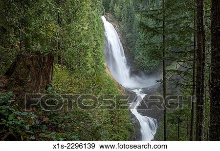 A Waterfall in the Pacific Northwest in a forest includes a stream winding from the base of the waterfall pool to disappear in the forest. View Large Photo Image Stock Photo - A Waterfall in the Pacific Northwest in a forest includes a stream winding from the base of the waterfall pool to disappear in the forest.. Fotosearch