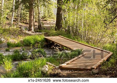 Stock Photograph - A wood plank walking bridge spans a creek in a forest in Utah.. Fotosearch