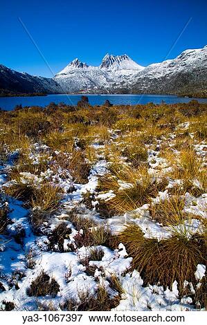 Stock Photo - Australia, Tasmania, Cradle Mt - Lake St Clair National Park Native bush near Lake Dove and Cradle mountain, covered by a fresh snowfall. Fotosearch