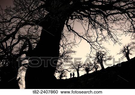 Stock Image - backlit two walkers among trees Ronda, Malaga, Spain. Fotosearch