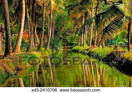 backwaters of Monroe Island, Kerala, India. View Large Photo Image Stock Photograph - backwaters of Monroe Island, Kerala, India.. Fotosearch