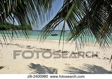 Beach of Baie Lazare, Mahé, Seychelles. View Large Photo Image Stock Image - Beach of Baie Lazare, Mahé, Seychelles.. Fotosearch