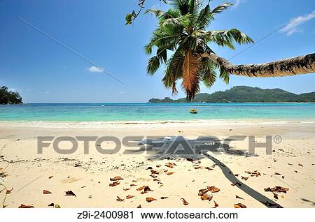 Beach of Baie Lazare, Mahé, Seychelles. View Large Photo Image Stock Image - Beach of Baie Lazare, Mahé, Seychelles.. Fotosearch