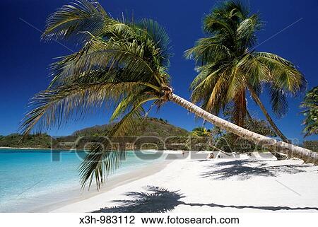 beach of Mayreau, Grenadines islands, Saint Vincent and the Grenadines, Winward Islands, Lesser Antilles, Caribbean Sea View Large Photo Image Stock Image - beach of Mayreau, Grenadines islands, Saint Vincent and the Grenadines, Winward Islands, Lesser Antilles, Caribbean Sea. Fotosearch