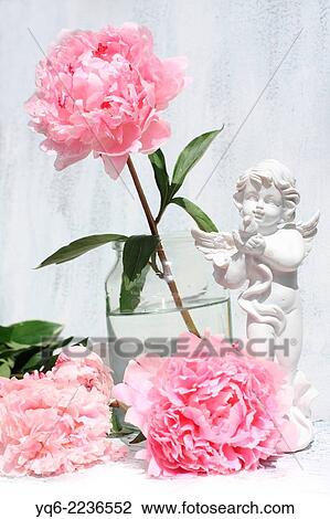 Stock Image - Beautiful soft pink peonies artistic still life on white painted background.. Fotosearch