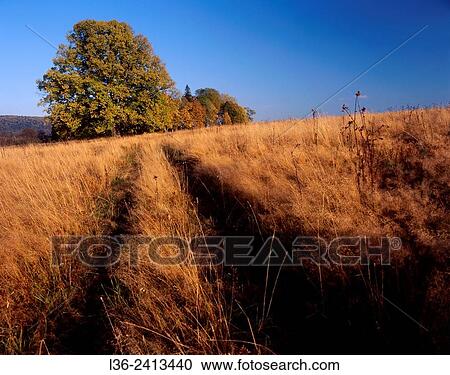 Bieszczady National Park. Road. Poland View Large Photo Image Stock Image - Bieszczady National Park. Road. Poland. Fotosearch