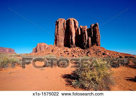 Bright datlight in Monument Valley with yellow wild flowers View Large Photo Image Stock Image - Bright datlight in Monument Valley with yellow wild flowers. Fotosearch