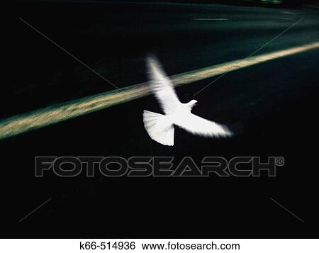 Concept View Large Photo Image Stock Photograph - Concept. Fotosearch