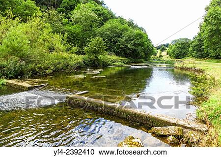 Dams on the River Dove Lathkill Dale Derbyshire Peak District National Park England United Kingdom UK. View Large Photo Image Stock Image - Dams on the River Dove Lathkill Dale Derbyshire Peak District National Park England United Kingdom UK.. Fotosearch