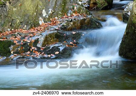 Detail of flowing waters of a little River in autumn in the bavarian forest, Bavaria, Germany. View Large Photo Image Stock Image - Detail of flowing waters of a little River in autumn in the bavarian forest, Bavaria, Germany.. Fotosearch