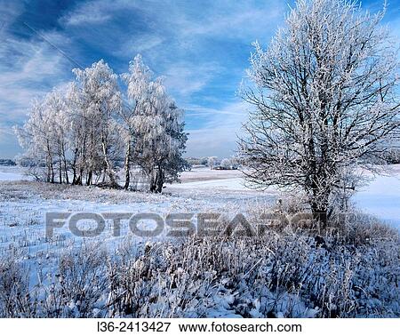 Stock Photo - First snow. Poland. Fotosearch