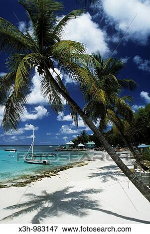 fisherman´s beach, Mustik, Grenadines islands, Saint Vincent and the Grenadines, Winward Islands, Lesser Antilles, Caribbean Sea View Large Photo Image Stock Photo - fisherman´s beach, Mustik, Grenadines islands, Saint Vincent and the Grenadines, Winward Islands, Lesser Antilles, Caribbean Sea. Fotosearch