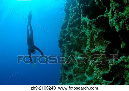 freediver, Aegean Sea, island Symi, Greece. View Large Photo Image Stock Image - freediver, Aegean Sea, island Symi, Greece.. Fotosearch