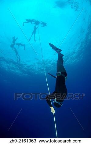 freediver, Aegean Sea, island Symi, Greece. View Large Photo Image Stock Image - freediver, Aegean Sea, island Symi, Greece.. Fotosearch