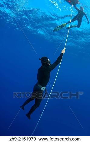 freediver, Aegean Sea, island Symi, Greece. View Large Photo Image Stock Image - freediver, Aegean Sea, island Symi, Greece.. Fotosearch
